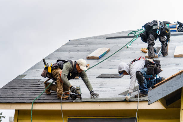 Professional Roofing technician working in Hillpoint, WI